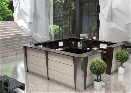 Ресепшн Rapid